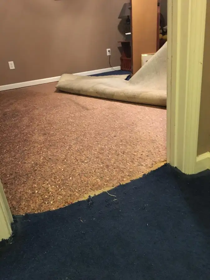Carpet pad removal revealing water damage during Drying & Dehumidification in St. Michael