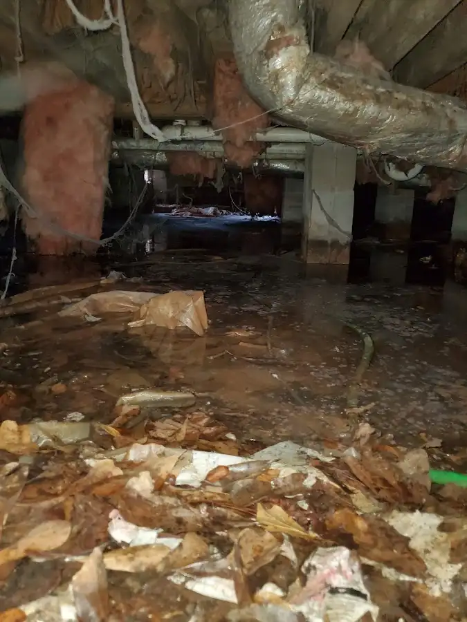 Crawl space flood assessment for Leak Detection & Repair in St. Michael
